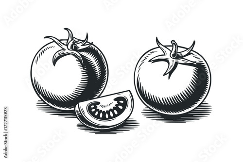 Two whole tomatoes and a sliced tomato. Vector hand drawn illustration