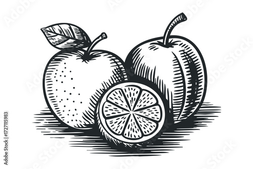 Woodcut Style Orange Fruit and Slice with Leaf. Vector hand drawn illustration