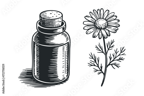 Line drawing of chamomile flower and glass bottle with cork. Vector hand drawn illustration