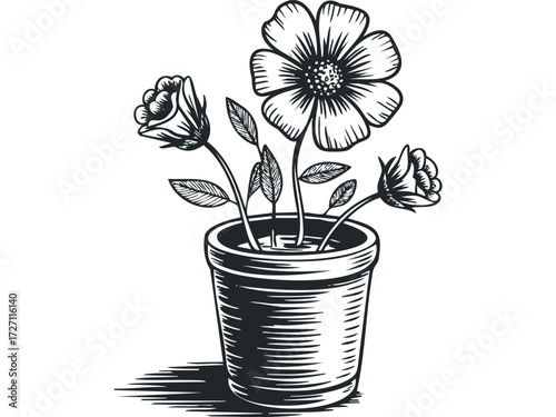 Potted flowers with prominent petals and leaves. Vector hand drawn illustration