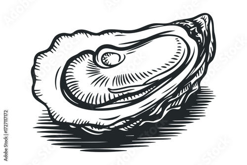 Detailed oyster shell drawing with hatching. Vector hand drawn illustration