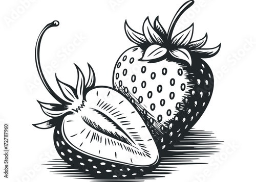 Stylized sketch of a whole and halved strawberry. Vector hand drawn illustration