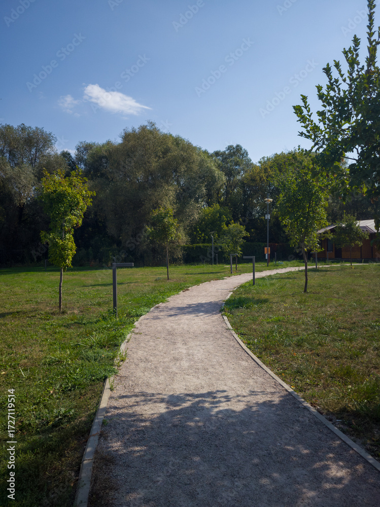 Obraz premium Curved pathway meanders through a lush green park, bordered by young trees and vibrant foliage, inviting visitors to explore the serene outdoor environment and enjoy nature's beauty