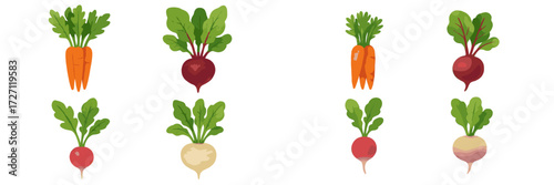 Colorful assortment of fresh vegetables featuring carrots and radishes on a white background