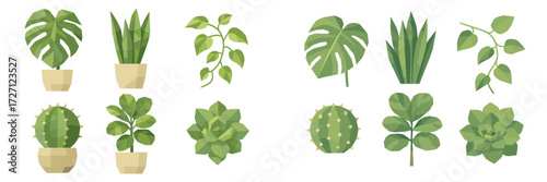 Variety of indoor plants displayed in simple pots, highlighting diverse shapes and textures in a bright setting