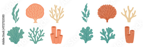Colorful coral and seaweed illustrations suitable for educational purposes or design projects illustrating marine life and ocean ecosystems