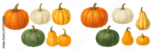 Colorful assortment of pumpkins and gourds in various shapes and sizes ideal for autumn decorations and harvest themes