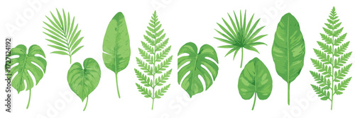 Variety of lush green leaves arranged in a decorative layout perfect for nature themes