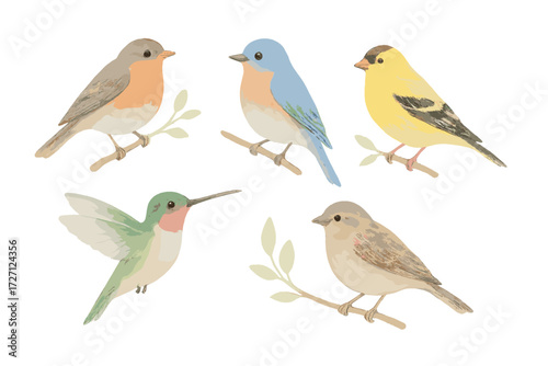 Colorful birds perched on branches in a serene setting showcasing the beauty of nature and wildlife diversity