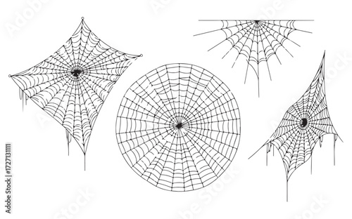Spiderwebs in various shapes, including square, circular, and partial webs.
