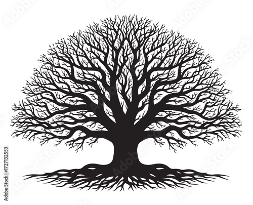 Silhouette of a large tree with many branches and roots.