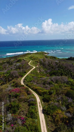 Scenic coastal dirt road winding through lush vegetation