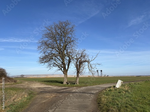 Two chestnut trees with an RWE lignite excavator in the background, edge of the Hambach open-pit mine. Near Bürgewald (formerly Morschenich), Germany, Europe, on February 25, 2025