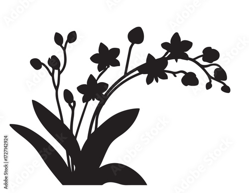black and white silhouette vector of orchid flower.