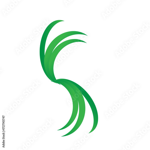  the most beautiful round vector