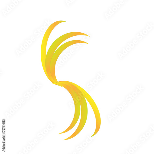  the most beautiful round vector