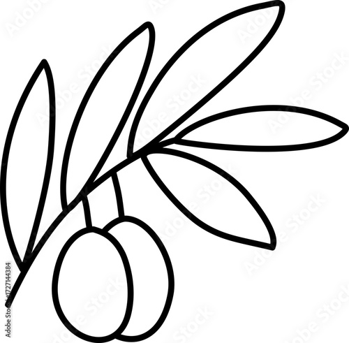 Olive Branch Vector Illustration. Simple Outline Olive Branch Coloring Page