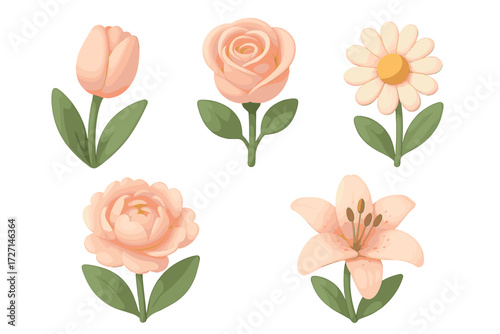Set of various pastel colored spring and summer flowers with soft rounded shapes and green leaves on a clean white background