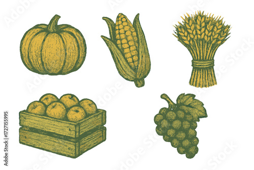 Variety of fresh seasonal autumn harvest farm produce including pumpkin corn wheat apples and grapes