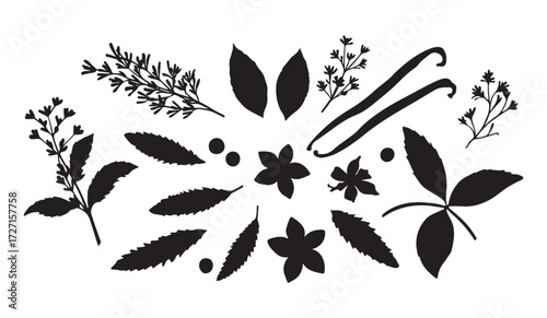 black and white silhouette vector set of indian herbs and spices.