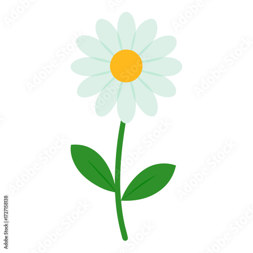 Wallpaper Mural daisy flower on white background Torontodigital.ca