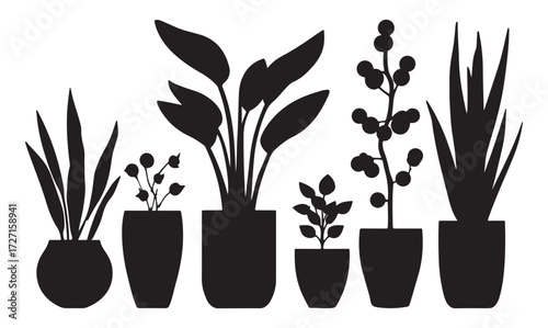 black and white silhouette vector set of houseplants