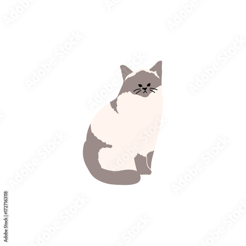 cat on white