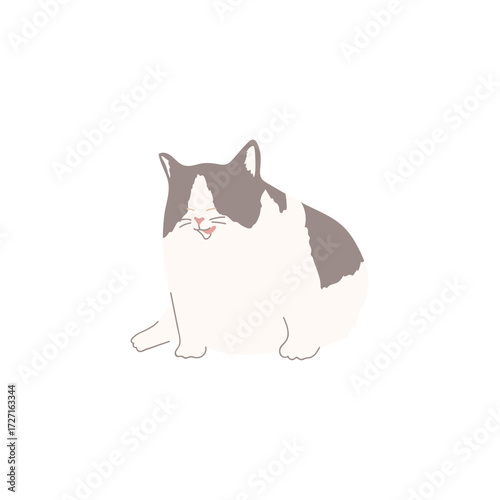 cat and mouse