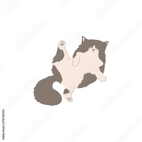 dog and cat