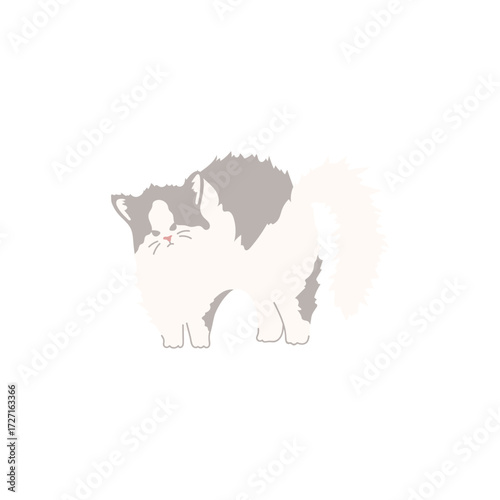 cat and mouse