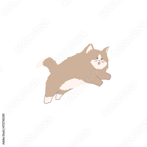 cat and mouse