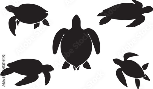black and white silhouette vector set of sea turtles