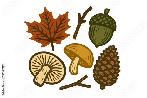 Vibrant collection of autumn forest elements featuring a maple leaf, various mushrooms, a ripe acorn, a textured pine cone, and natural twigs