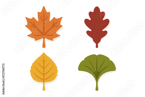 Diverse autumn leaves collection with maple, oak, ginkgo, and broadleaf shapes in warm seasonal colors