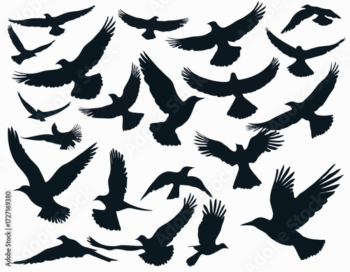 Flying birds silhouettes on white background. Vector illustration. isolated bird flying