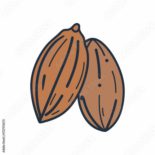 Two ripe cocoa beans isolated simple depiction food ingredient chocolate source raw produce