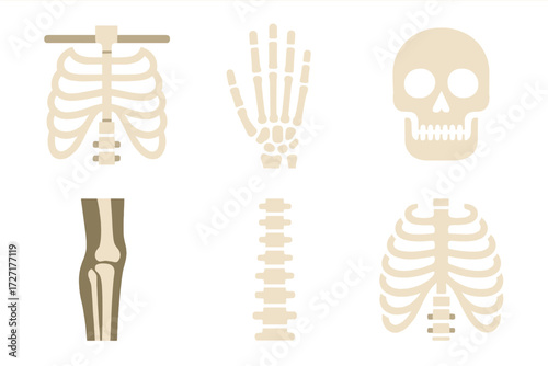 X-Ray Icons. Classic X-Ray set of icons in abstract flat : chest x-ray, hand x-ray, skull x-ray, leg x-ray, spine x-ray, ribcage x-ray.