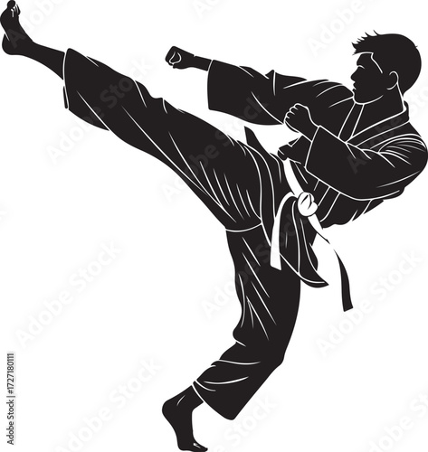 Silhouette of a Man Performing a High Kick in Martial Arts