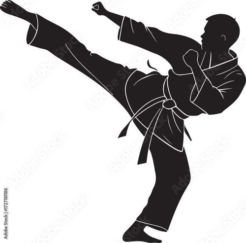 Silhouette of a Man Performing a High Kick in Martial Arts