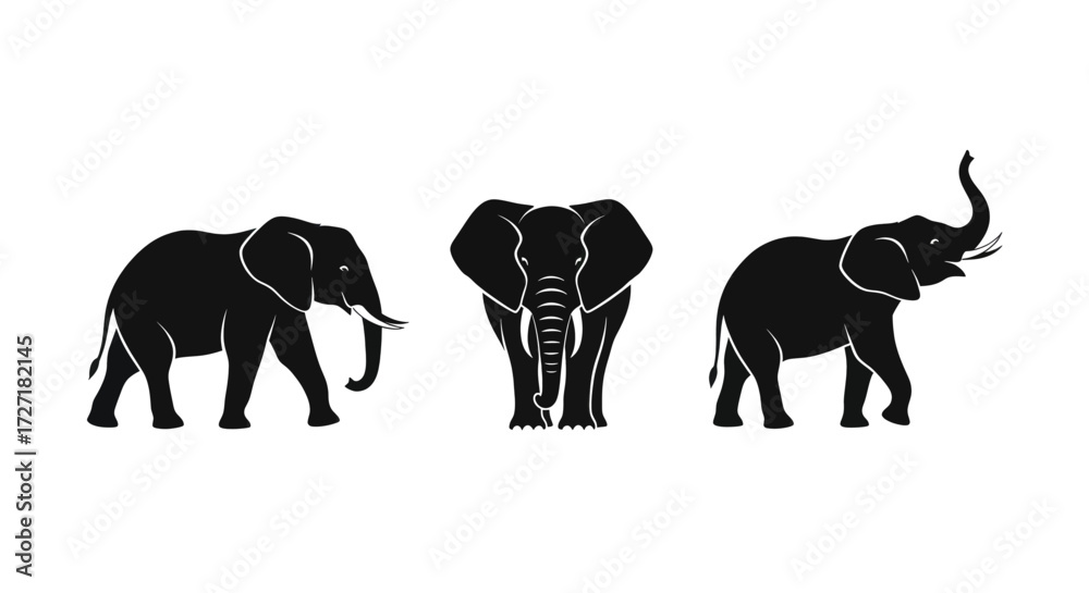 Fototapeta premium Three elegant elephant silhouettes showcasing their majestic forms and iconic trunks.