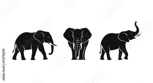Three elegant elephant silhouettes showcasing their majestic forms and iconic trunks.