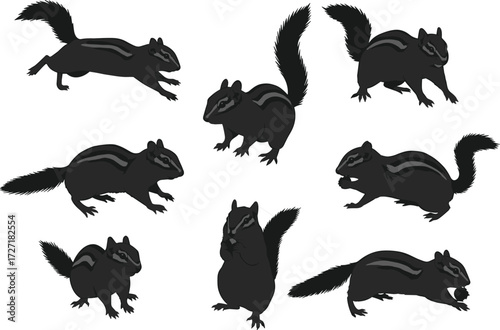 Chipmunk silhouettes collection, black squirrel poses, running chipmunk, sitting squirrel, standing chipmunk, eating squirrel, crouching chipmunk, wildlife animal vector illustration design