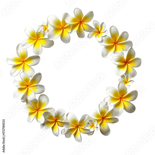Wallpaper Mural Hawaii garland of frangipani flowers in circle on transparent background Torontodigital.ca