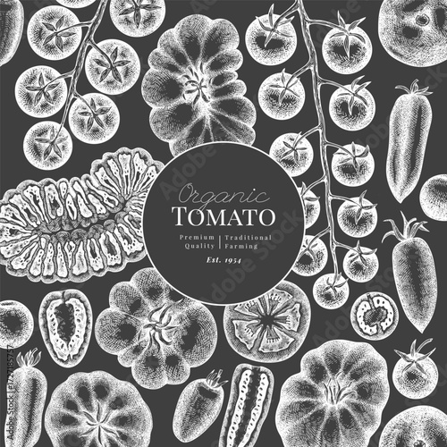 Hand Drawn Chalk Board Tomato Illustration. Retro Vegetable Vector Design Template. Old School Farm Food.