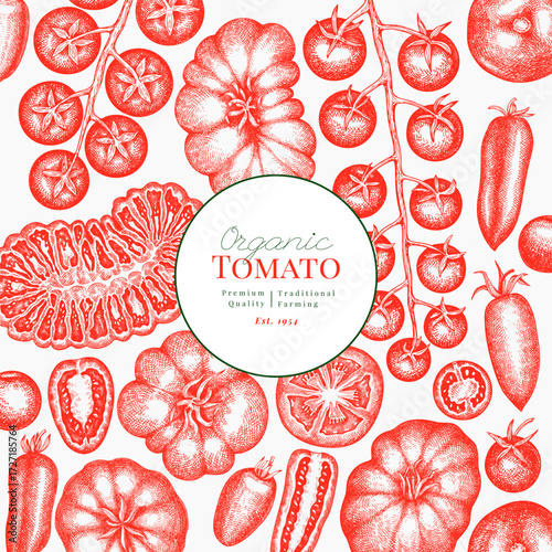 Hand Drawn Tomato Illustration. Retro Vegetable Vector Design Template. Old School Farm Food.
