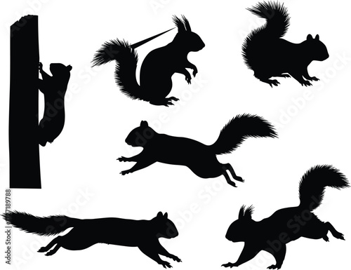 Silhouette vector set of squirrels climbing, jumping, running, sitting, black wildlife rodent animal illustrations for design, decoration, nature, graphic
