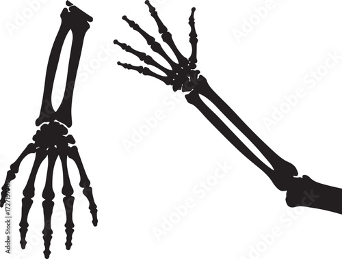 Two black silhouette human arm skeletons against a white background silhouette