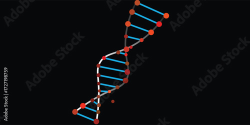 Dna model vector