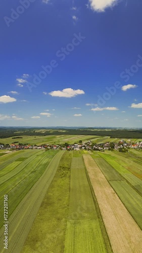 Aerial drone footage flying along a farm field with colorful stripes of crops, showcasing vibrant patterns and the beauty of agricultural landscapes in vertical.