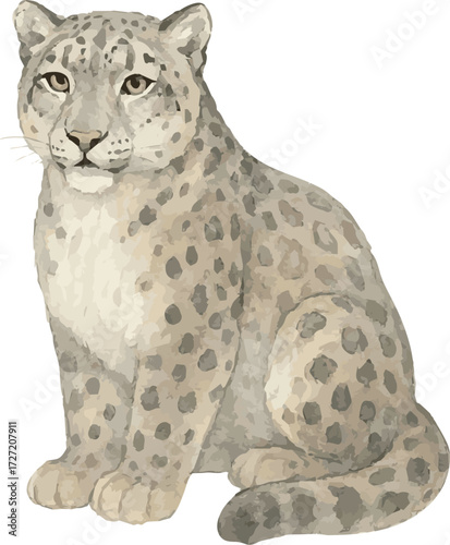 Vector watercolor painted illustration of an irbis